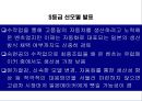 벤츠의 기술경영 사례 44페이지
