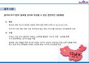중국 제1 인터넷 포털 바이두 22페이지