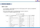 중국 제1 인터넷 포털 바이두 29페이지