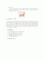 재활 서비스와 치료방법 34페이지