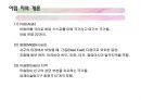 아랍지역과 대중문화 4페이지