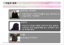 아랍의 여성문제&히잡 15페이지