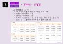 에버랜드 서비스 마케팅전략 19페이지