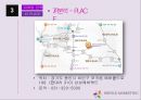 에버랜드 서비스 마케팅전략 21페이지