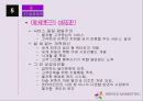 에버랜드 서비스 마케팅전략 33페이지