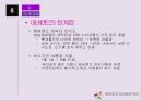 에버랜드 서비스 마케팅전략 34페이지