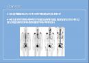 x-ray & bone scanppt 의 모든것이 있습니다 12페이지