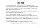 생검과 천자의 모든것이 여기에 있습니다 3페이지