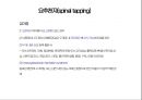 생검과 천자의 모든것이 여기에 있습니다 17페이지