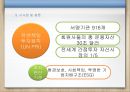Ikea와 기업의 사회적책임 23페이지