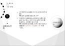 토종 골프공의 자존심 볼빅 21페이지