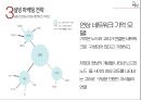 설빙 31페이지