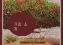 청정원 순창고추장 글로벌경영전략 3페이지