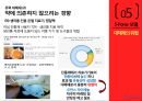 타이레놀 마케팅전략 20페이지