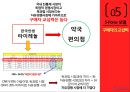 타이레놀 마케팅전략 22페이지