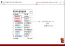 신라면 마케팅 전략 25페이지