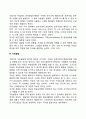 아동기 인지발달의 특성 3페이지