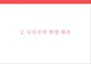 중국 농민공 문제 6페이지