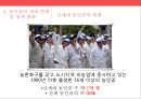 중국 농민공 문제 28페이지