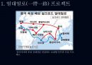슈퍼차이나 Super China 일대일로를 중심으로 14페이지