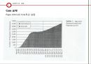 파파죤스 피자의 마케팅전략 5페이지