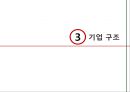파파죤스 피자의 마케팅전략 10페이지