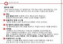 파파죤스 피자의 마케팅전략 17페이지