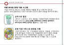 파파죤스 피자의 마케팅전략 19페이지