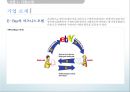 e-bay 중국일본 시장진출 실패 6페이지