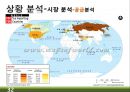 RTD 음료(Ready-To-Drink) 미국시장 마케팅전략 32페이지