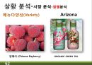 RTD 음료(Ready-To-Drink) 미국시장 마케팅전략 62페이지