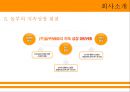 놀부 경영전략 12페이지
