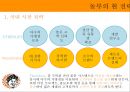 놀부 경영전략 26페이지