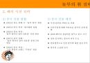 놀부 경영전략 28페이지