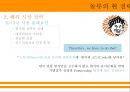 놀부 경영전략 32페이지