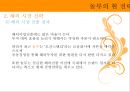 놀부 경영전략 33페이지
