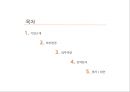 샤오미 경영전략 2페이지