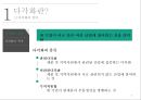 다각화 사례 분석 3페이지