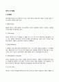 영아기 인지발달 2페이지