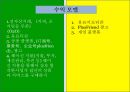 텐센트의 온라인 메신져 위쳇 한국진출 전략 29페이지