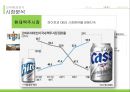 하이트 마케팅전략 13페이지