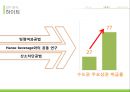 하이트 마케팅전략 50페이지