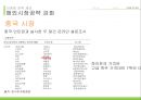 하이트 마케팅전략 66페이지