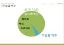 하이트 마케팅전략 68페이지