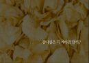 허니버터칩 5페이지