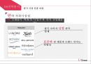 로레알 한국 현지화전략 20페이지