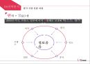 로레알 한국 현지화전략 22페이지