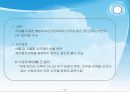 부패의 이해 및 방지전략 9페이지