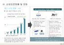 ICT Standard  Communication and TV 10페이지