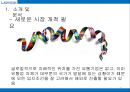로손의 해외시장진출 전략 11페이지